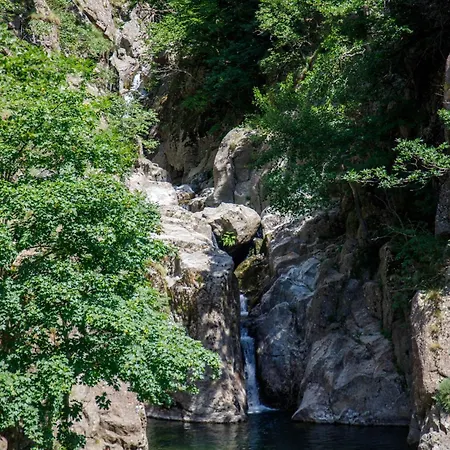 De Noe Au Ray-pic Pereyres