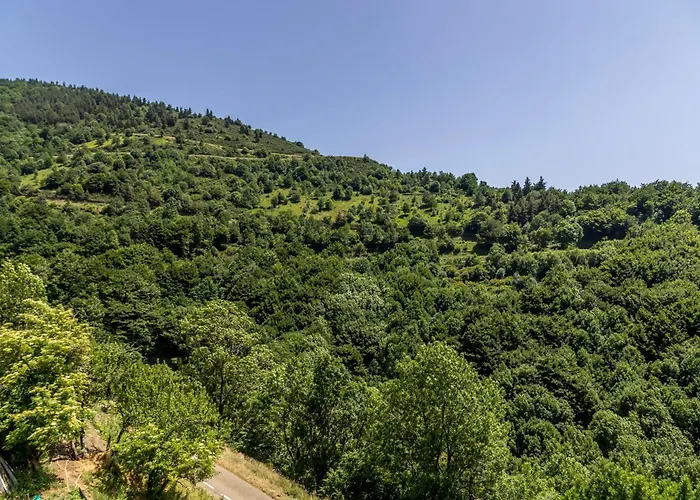De Noe Au Ray-pic Hébergement de vacances Pereyres